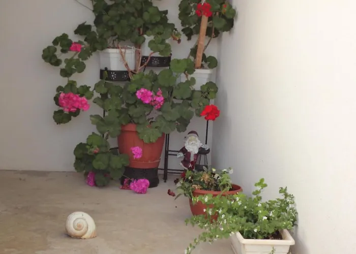 Kovacic Apartment Hvar Town